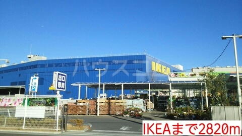 3/13 周辺