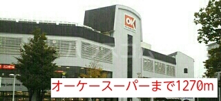6/13 周辺