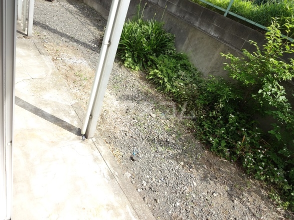 12/27 その他画像