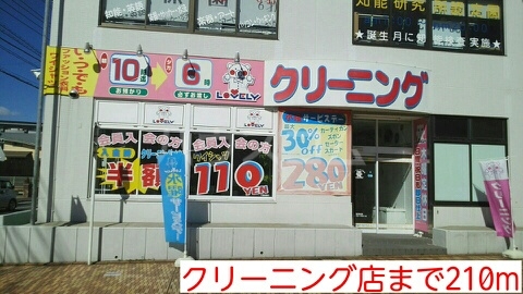 5/15 周辺