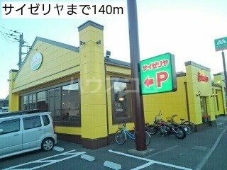 3/13 周辺