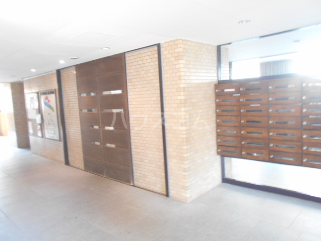 20/30 その他画像