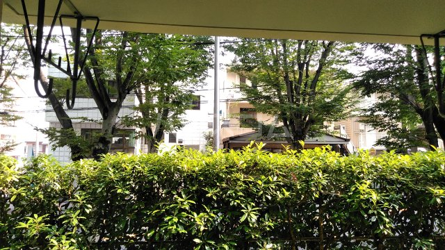 21/26 その他画像