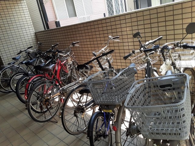 20/30 その他画像