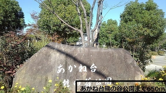 6/14 周辺