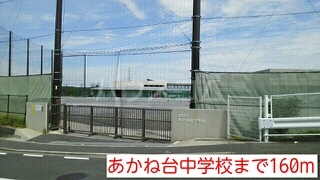 15/29 その他画像