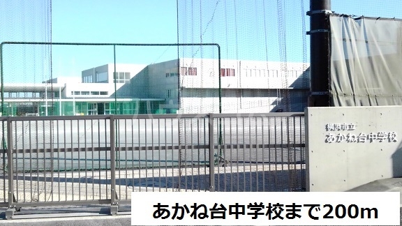 17/25 周辺