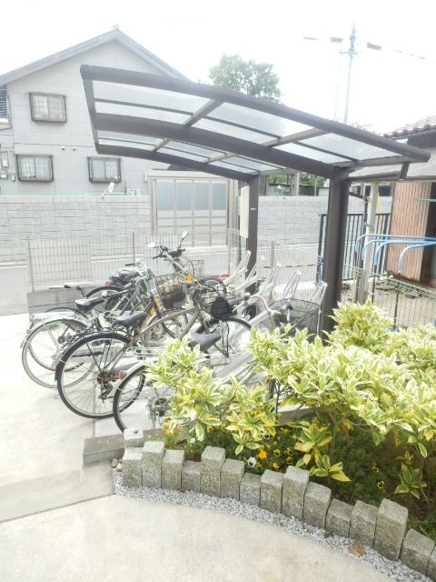 20/30 その他画像