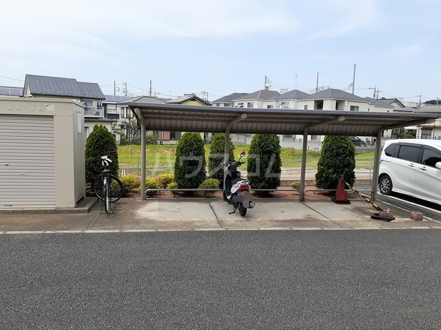 20/30 その他画像