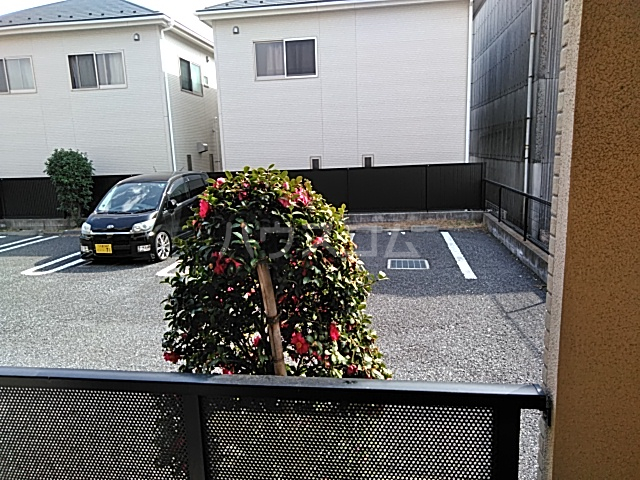 20/30 その他画像