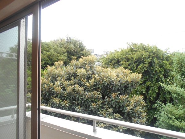 17/30 その他画像