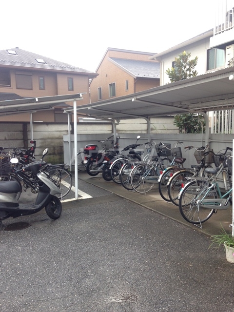 17/29 その他画像