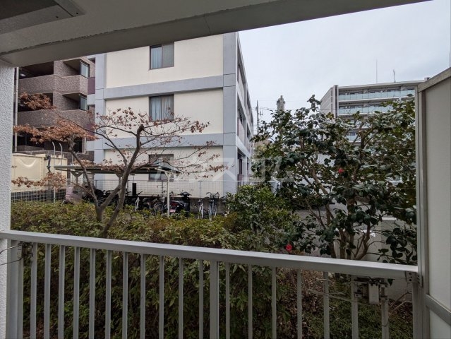 15/25 その他画像