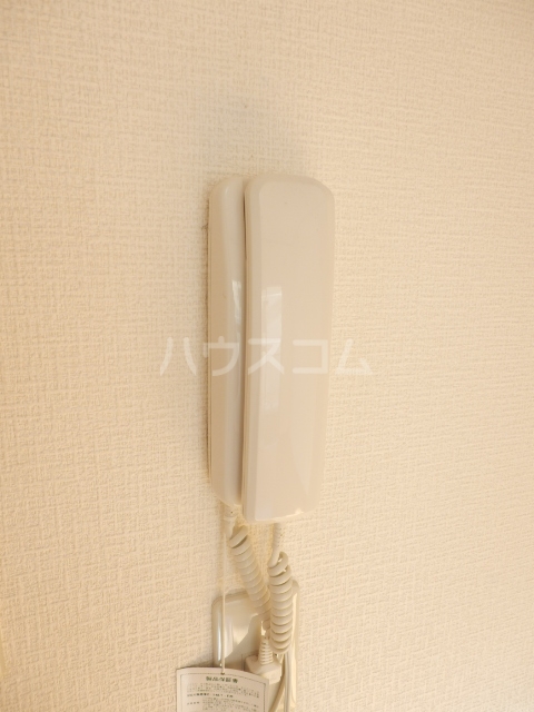 17/29 その他画像