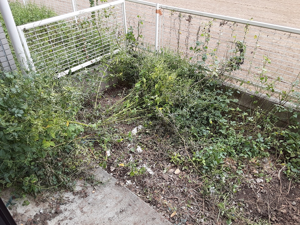 4/30 リビング/ダイニング