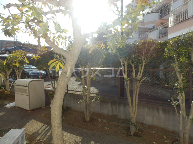 19/23 その他画像