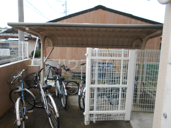 20/30 その他画像