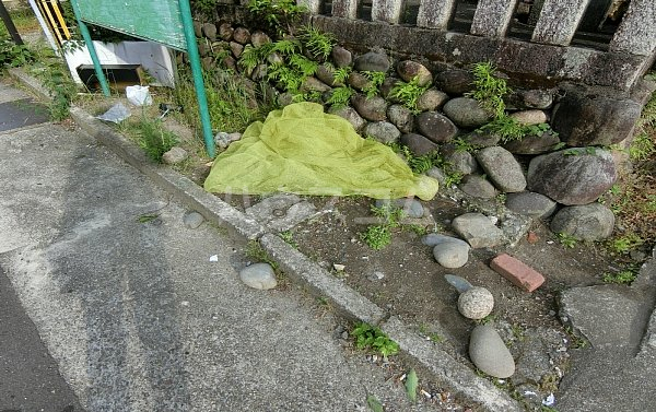 19/24 その他画像