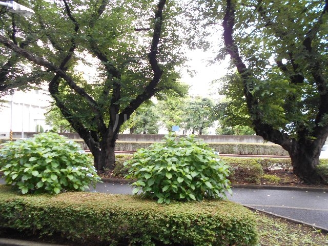 19/28 その他画像