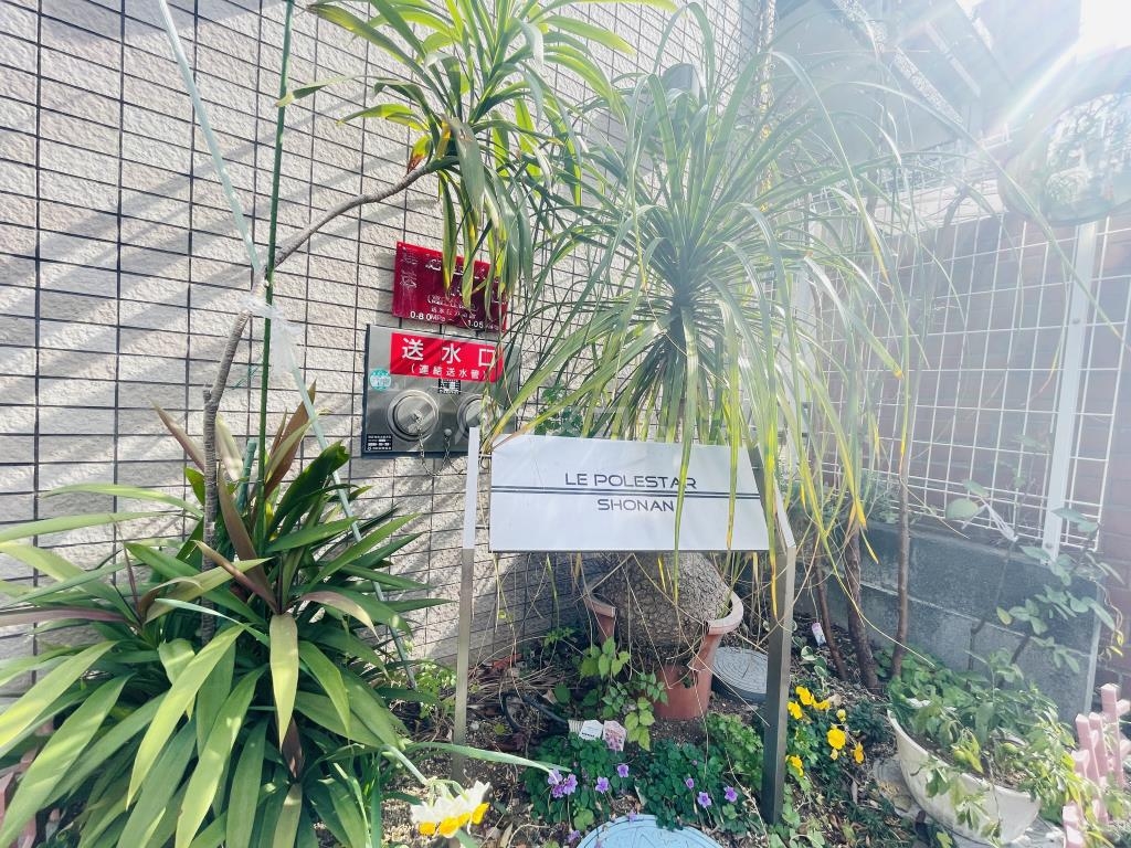 17/28 その他画像