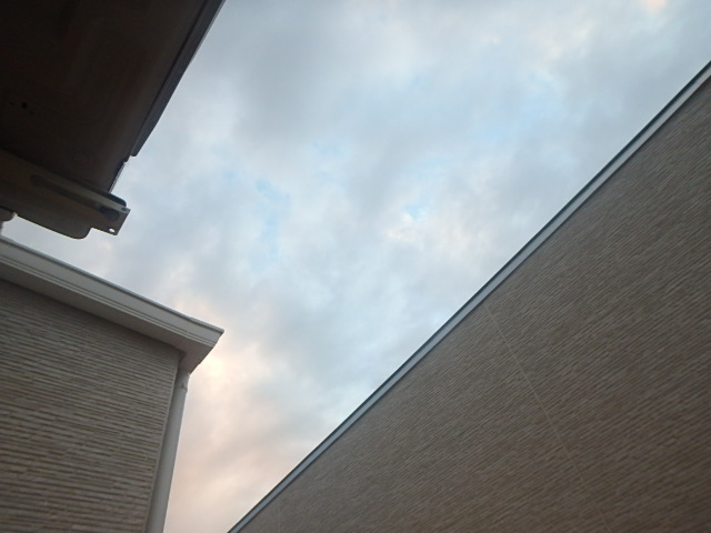 17/29 その他画像