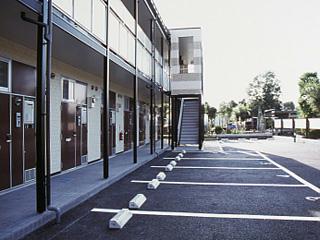 11/21 その他画像