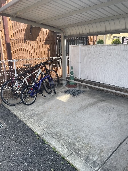 20/30 その他画像