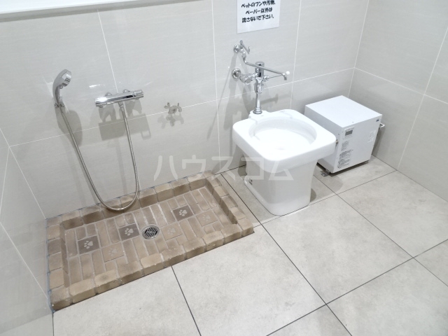 15/24 その他画像