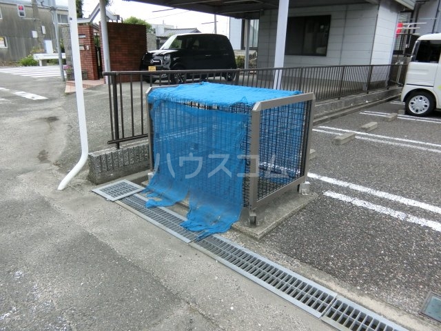 20/30 その他画像