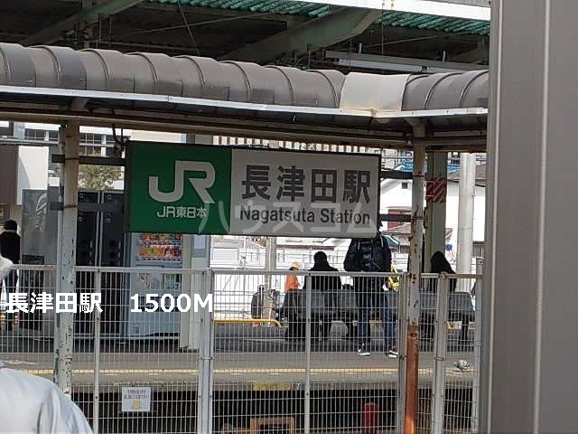 3/13 周辺