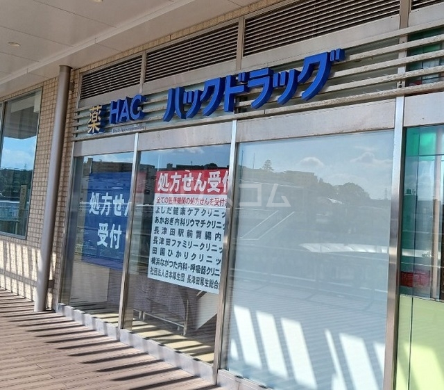 4/13 周辺