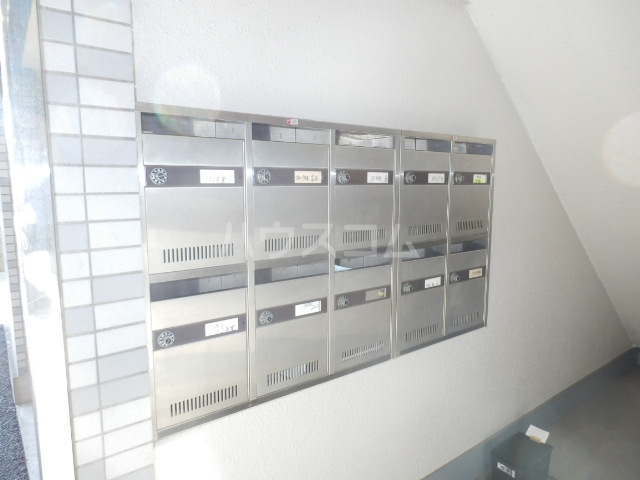 20/30 その他画像