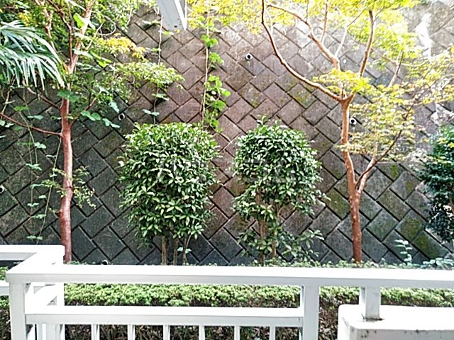 20/27 その他画像