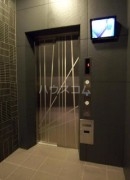 14/19 その他画像