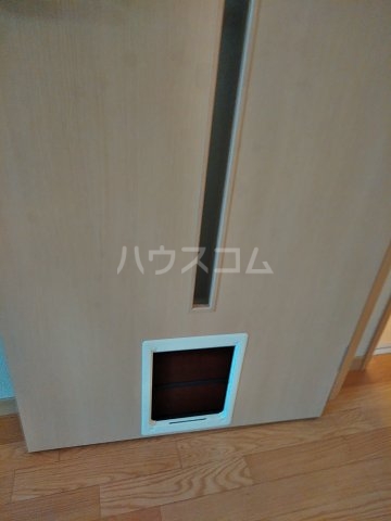 5/27 室内