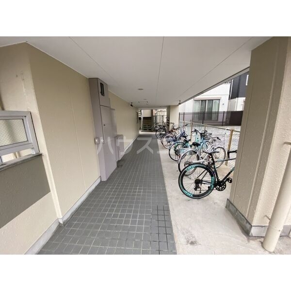 13/19 その他画像