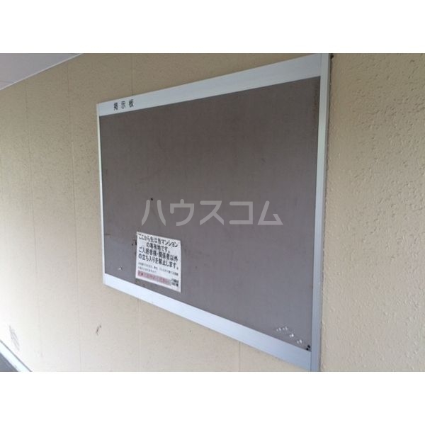 16/19 その他画像