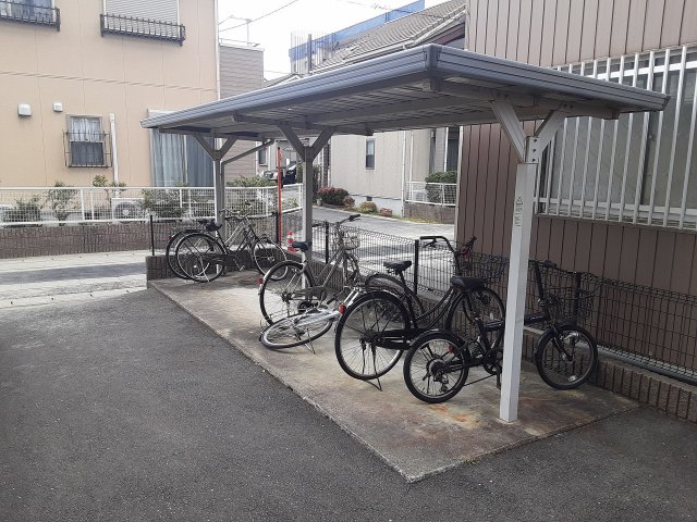 20/30 その他画像