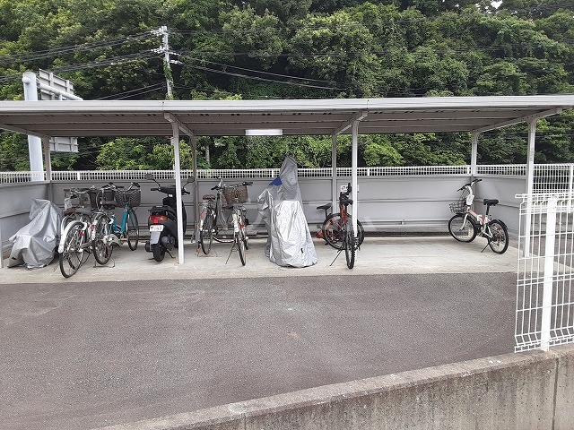 25/29 その他画像