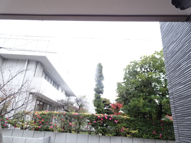 19/29 その他画像