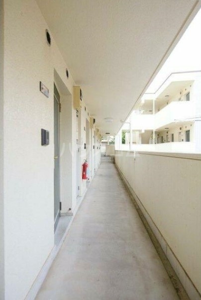 17/25 その他画像