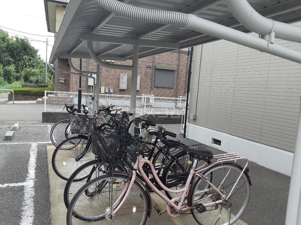 12/16 その他画像