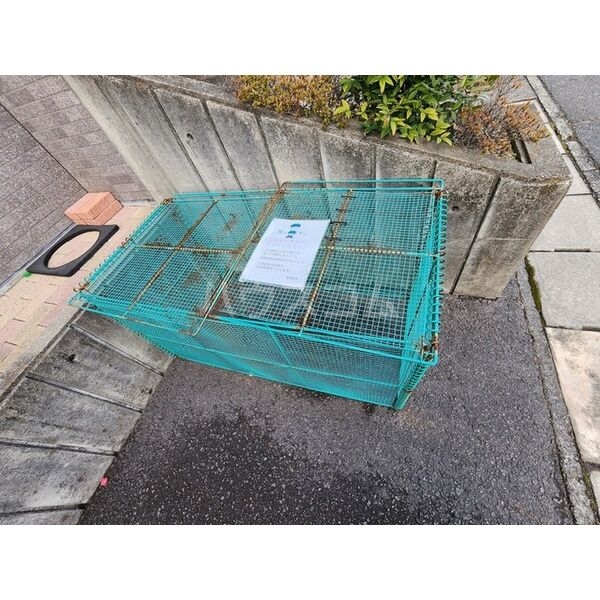 21/26 その他画像