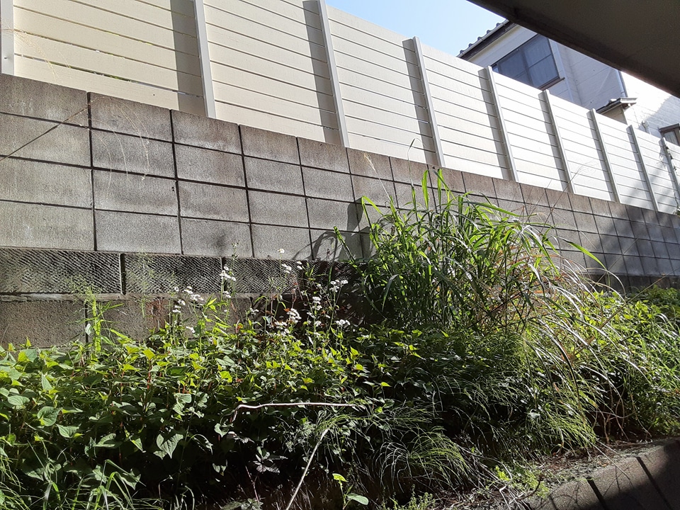 16/22 その他画像