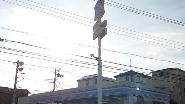 2/12 周辺