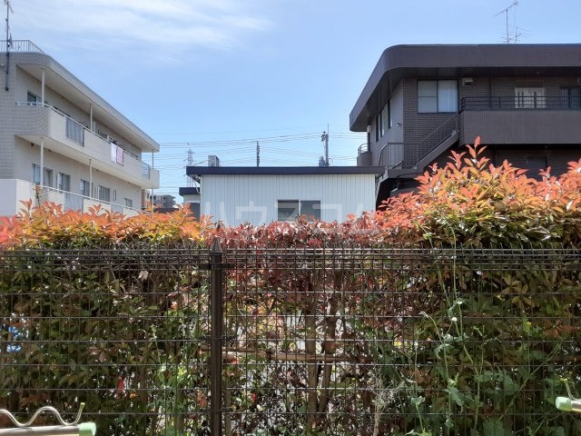 15/19 その他画像