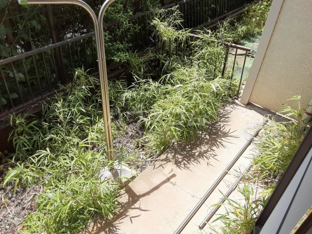 13/19 その他画像