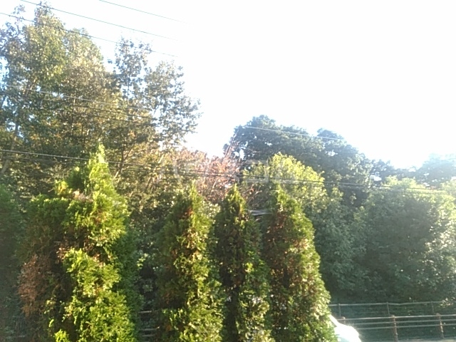 21/25 その他画像