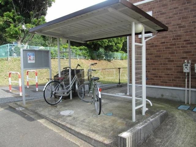 11/20 その他画像