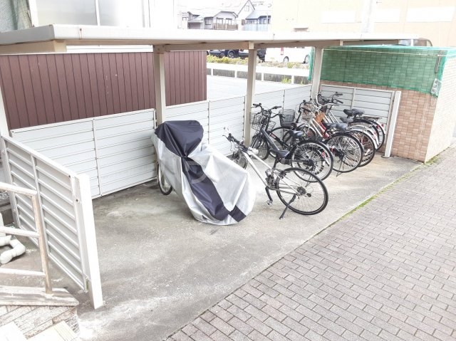 5/17 その他画像